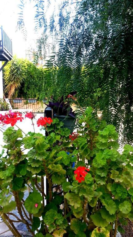 Emelce Apart Bodrum Esterno foto