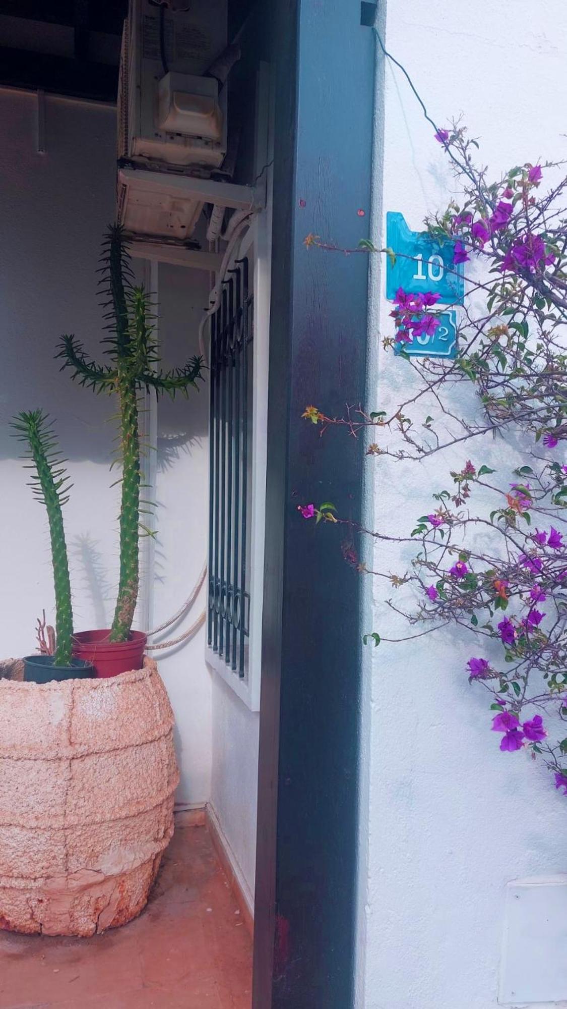 Emelce Apart Bodrum Esterno foto
