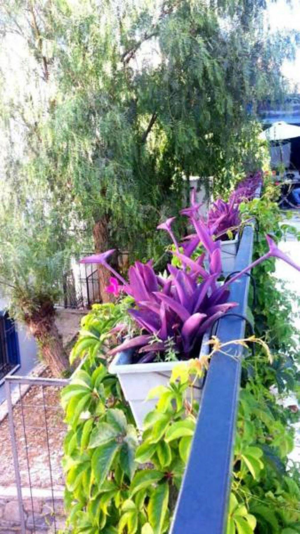 Emelce Apart Bodrum Esterno foto